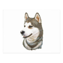 Siberian Husky Dog Art Postcard