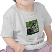 Siberian Husky Dog Baby T-Shirt
