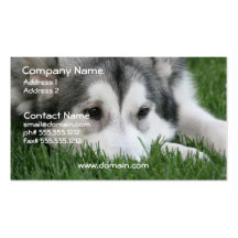 Siberian Husky Dog Business Card