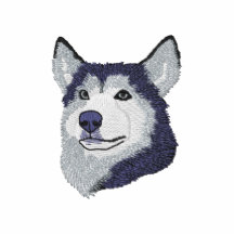 Siberian Husky