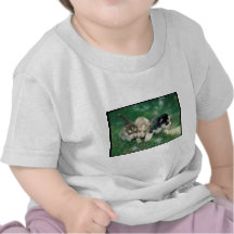 Siberian Husky Puppies Shirts