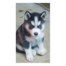 Siberian Husky puppy Art business cards