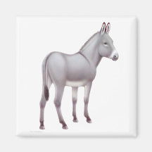Sicilian Donkey Magnet
