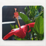 Side Shot of a Hibiscus Mousepad