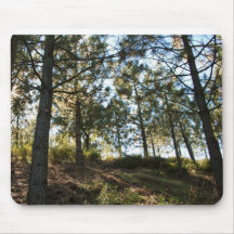 Sierra Nevada Mountain Range, California Mouse Pad