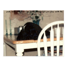 siesta jojo style, cocker tales post cards