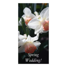 Signs Of Spring Photo Card