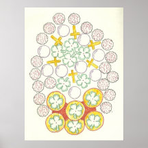 Signs of Spring Print