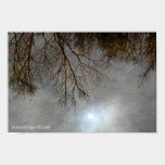 Silent Spring posters