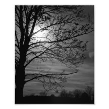 Silhouette Photo Print