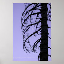 Silhouette with Moon, northern California Poster