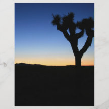Silhouetted Joshua Tree Flyer