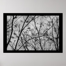 Silhouettes Print
