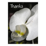 Silk Personalized Announcements