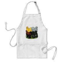 Silkies:  Assorted Roosters Apron