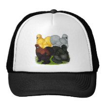 Silkies:  Assorted Roosters Hats