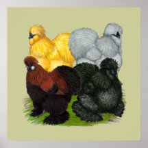 Silkies:  Assorted Roosters Print
