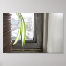 sill print