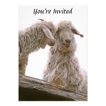 Silly Goats Photo Invites