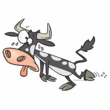 silly hot cow cartoon character photo cutouts