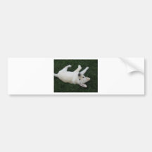 Silly Lab Puppy Bumper Sticker