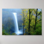 Silver Falls State Park, Oregon Print