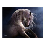 Silver Ghost Postcard