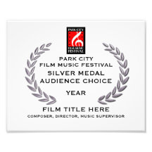 Silver Medal Certificate 10" x 8" Photo