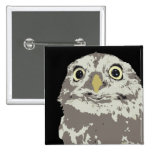 Silver Owl Button
