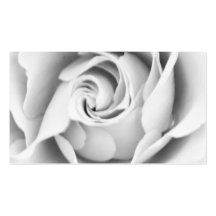 Silver rose business cards