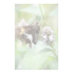 Silver-Spotted Skipper On Agastache Personalised Stationery