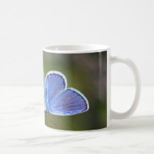 Silver-tip Blue Mugs