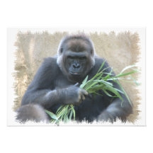 Silverback Gorilla Invitation