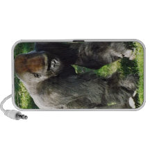 Silverback Male Lowland Gorilla Standing Up Speakers
