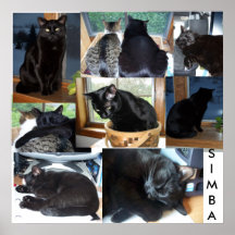 SIMBA POSTERS