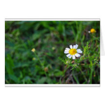 Simple Flower Cartao