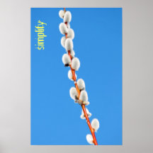 Simplify Posters