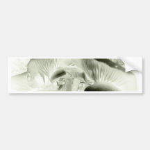 simply mushrooms bumper sticker