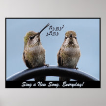 Sing A New Song Poster
