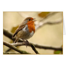 Singing Robin Greeting Card