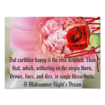 Single Blessedness Photographic Print