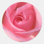 Single Pink Rose Round Sticker