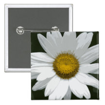 Single White Daisy Pinback Buttons