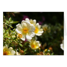 Single Yellow Rose Greeting Card