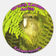 Sirocco in the Ferns Round Sticker