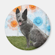 Sister - Blue Heeler Fridge Magnet