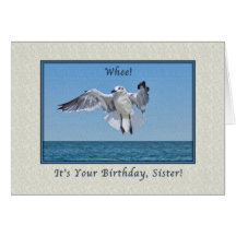 Sister's Laughing Gull Bird Birthday Card