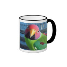 Sittin' Pretty Plum Headed Parakeet Mug