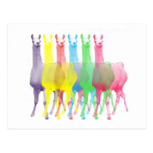 six lamas in six llama colours postcards