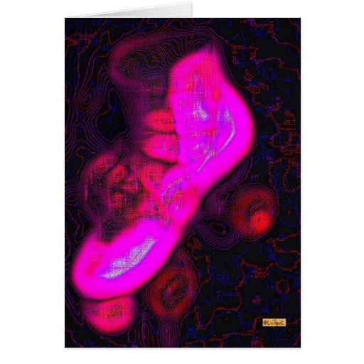 Skate Pink Card